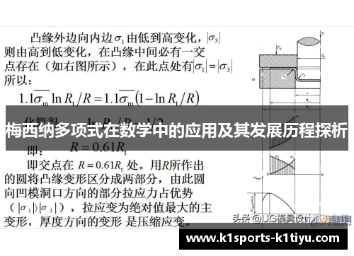 梅西纳多项式在数学中的应用及其发展历程探析